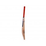 GM Purist Premier Kashmir Willow Cricket Bat